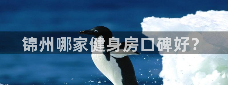 意昂2招商