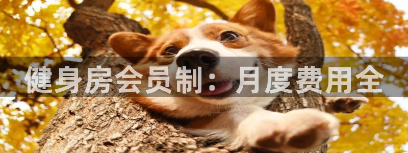 意昂2代理