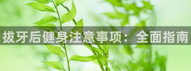 意昂2官方网站