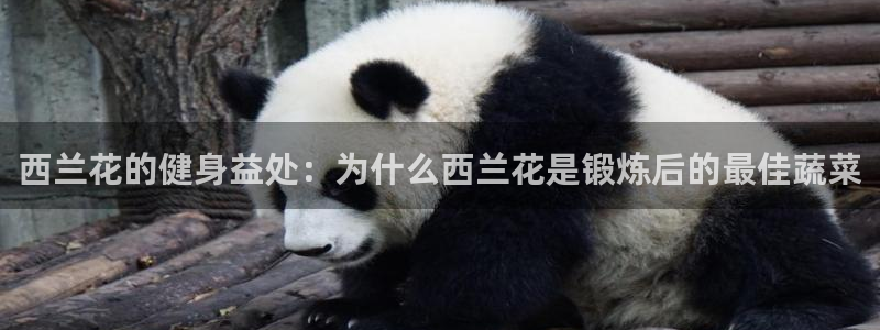 意昂2官方平台