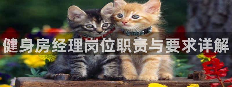 意昂2招商