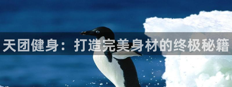 意昂2招商