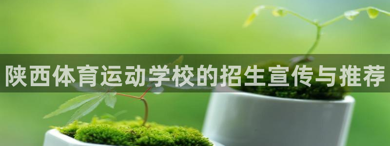 bbin视讯下：陕西体育运动学校的招生宣传与推荐