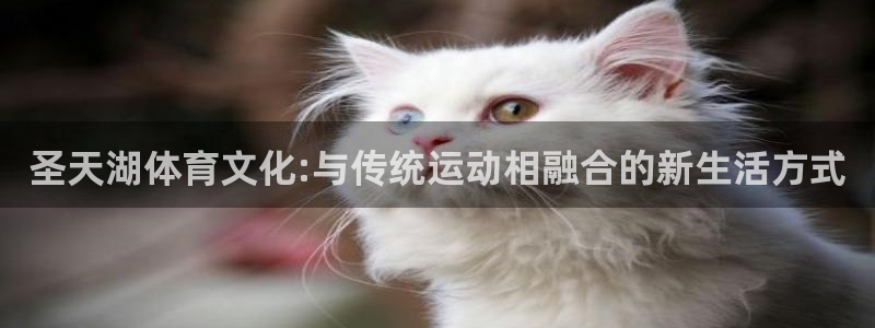 bbin视讯：圣天湖体育文化:与传统运动相融合的新生活方式