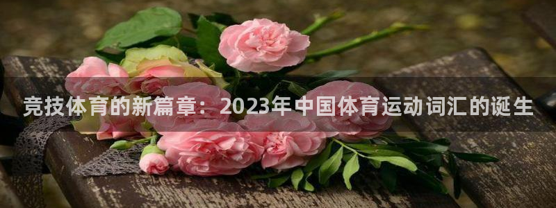 bbin视讯：竞技体育的新篇章：2023年中国体育运动词汇的诞生