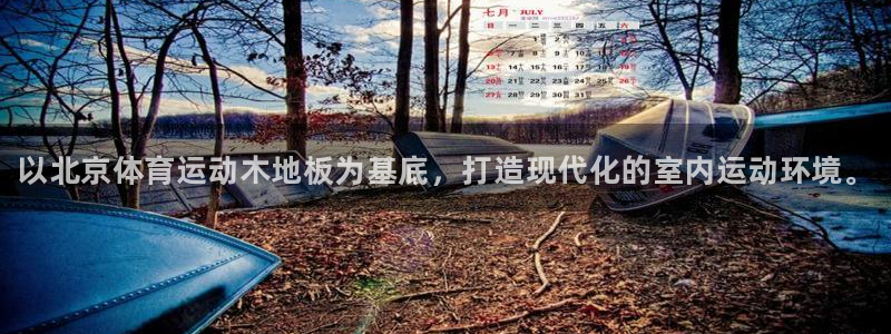 bbin视讯游戏平台：以北京体育运动木地板为基底，打造现代化的室内运动环境。