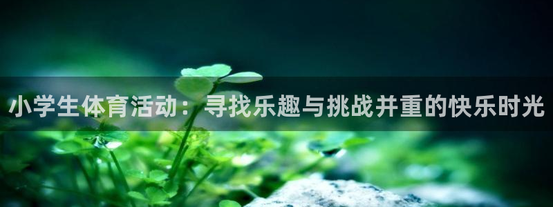 bbin视讯游戏平台：小学生体育活动：寻找乐趣与挑战并重的快乐时光