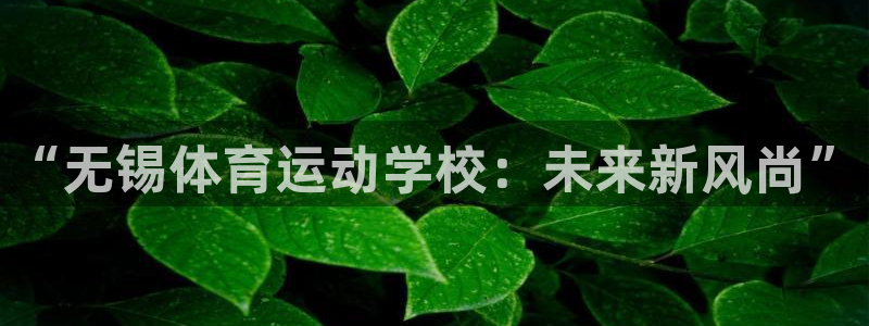 bbin视讯