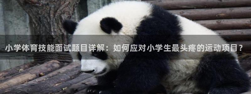 bbin视讯游戏官网：小学体育技能面试题目详解：如何应对小学生最头疼的运动项目？