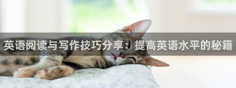 bbin视讯：英语阅读与写作技巧分享：提高英语水平的秘籍