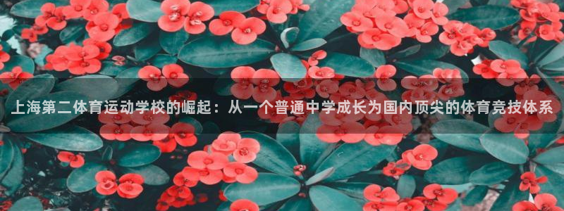 bbin视讯下：上海第二体育运动学校的崛起：从一个普通中学成长为国内顶尖的体育竞技体系
