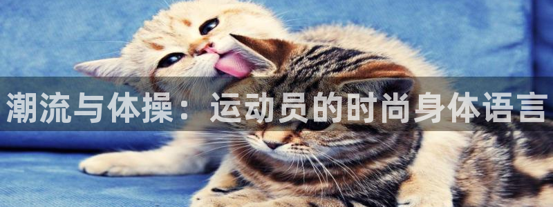 bbin视讯游戏官网：潮流与体操：运动员的时尚身体语言