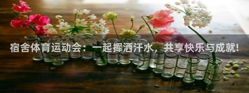 bbin视讯：宿舍体育运动会：一起挥洒汗水，共享快乐与成就!
