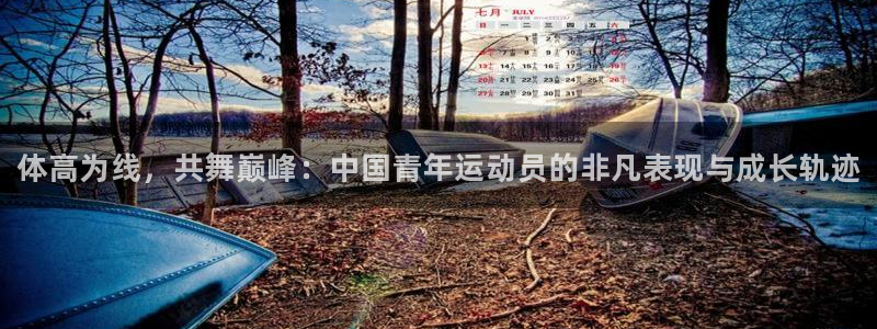 bbin视讯：体高为线，共舞巅峰：中国青年运动员的非凡表现与成长轨迹