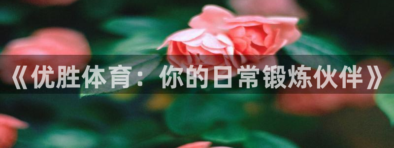 bbin视讯：《优胜体育：你的日常锻炼伙伴》