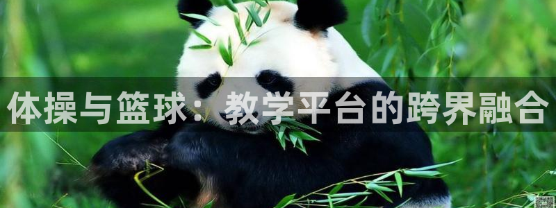 bbin视讯：体操与篮球：教学平台的跨界融合