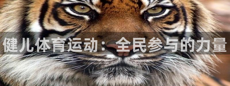 bbin视讯：健儿体育运动：全民参与的力量