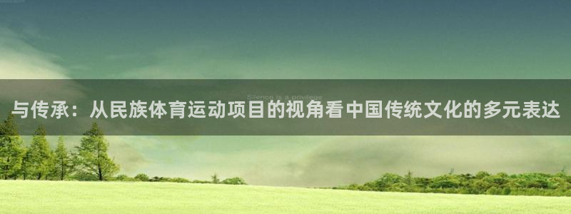 bbin视讯游戏平台：与传承：从民族体育运动项目的视角看中国传统文化的多元表达