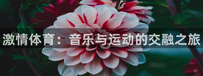 bbin视讯游戏平台