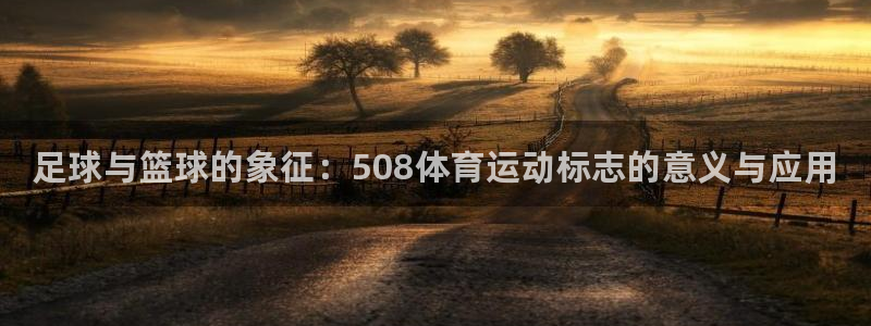 bbin视讯下：足球与篮球的象征：508体育运动标志的意义与应用