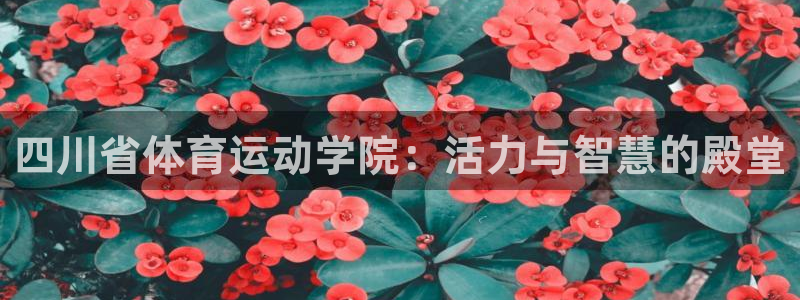 bbin视讯游戏平台