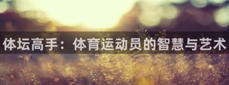 bbin视讯游戏平台：体坛高手：体育运动员的智慧与艺术