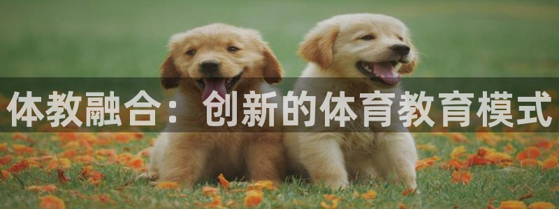 bbin视讯游戏官网：体教融合：创新的体育教育模式
