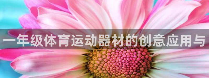 bbin视讯游戏官网：一年级体育运动器材的创意应用与