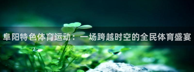 bbin视讯下：阜阳特色体育运动：一场跨越时空的全民体育盛宴