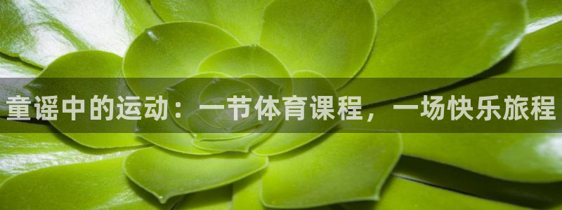 bbin视讯游戏官网