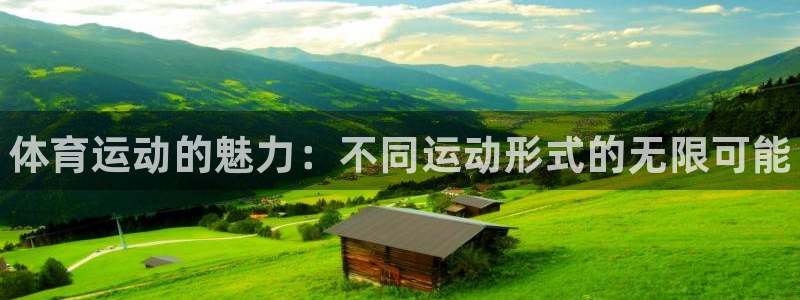bbin视讯游戏平台：体育运动的魅力：不同运动形式的无限可能
