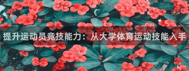 bbin视讯游戏官网：提升运动员竞技能力：从大学体育运动技能入手