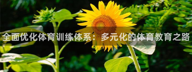 bbin视讯下