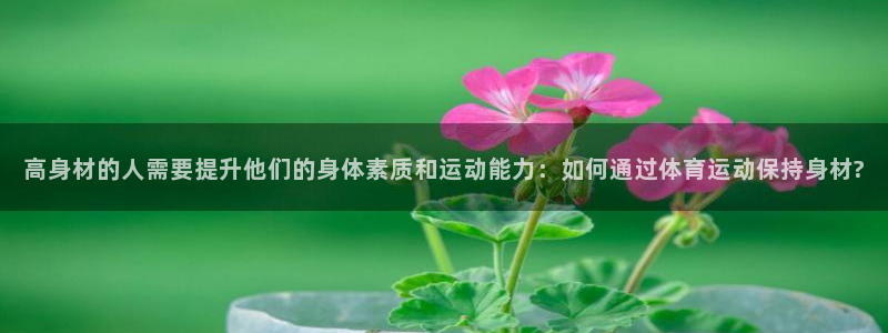 bbin视讯游戏官网