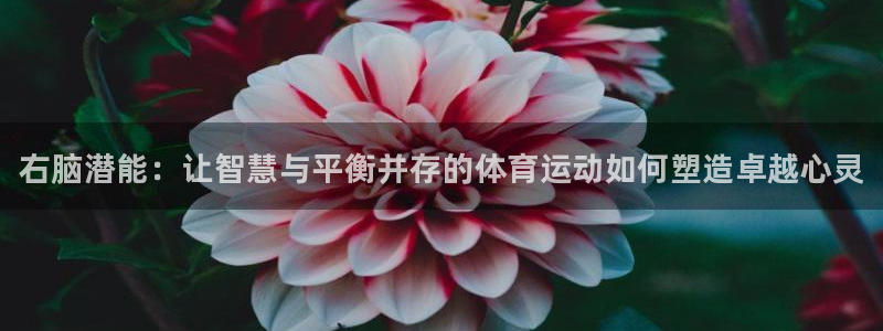 bbin视讯下：右脑潜能：让智慧与平衡并存的体育运动如何塑造卓越心灵