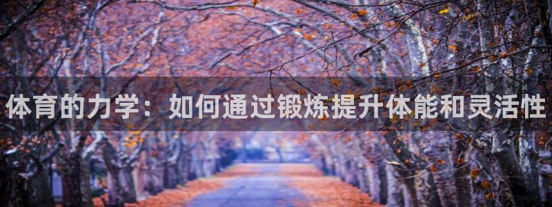 bbin视讯游戏官网：体育的力学：如何通过锻炼提升体能和灵活性