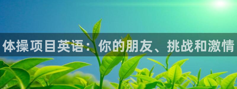 bbin视讯：体操项目英语：你的朋友、挑战和激情