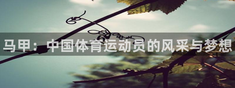 bbin视讯游戏平台：马甲：中国体育运动员的风采与梦想