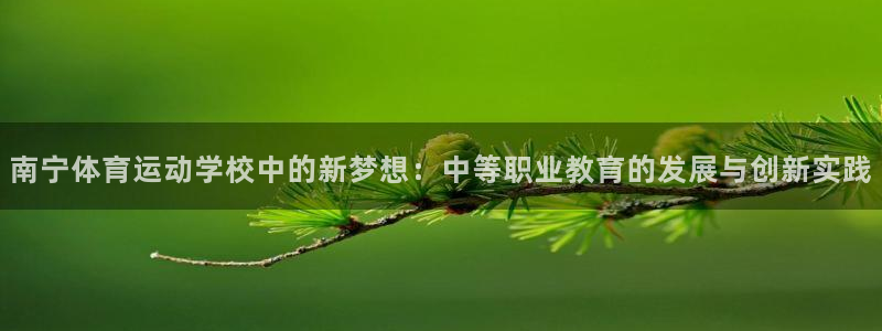 bbin视讯：南宁体育运动学校中的新梦想：中等职业教育的发展与创新实践