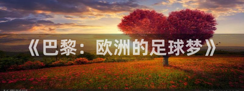 bbin视讯游戏官网：《巴黎：欧洲的足球梦》