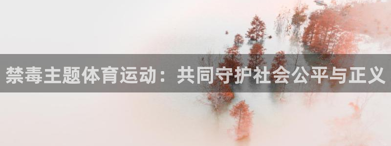 bbin视讯游戏平台：禁毒主题体育运动：共同守护社会公平与正义