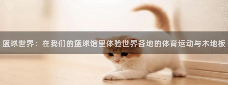 bbin视讯游戏官网：篮球世界：在我们的篮球馆里体验世界各地的体育运动与木地板